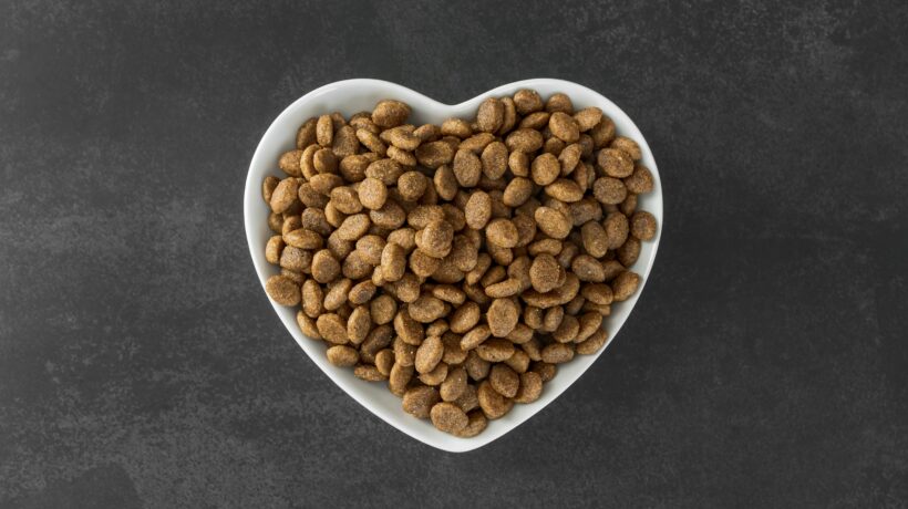 Dry cat food in a heart-shaped bowl on a dark background.
