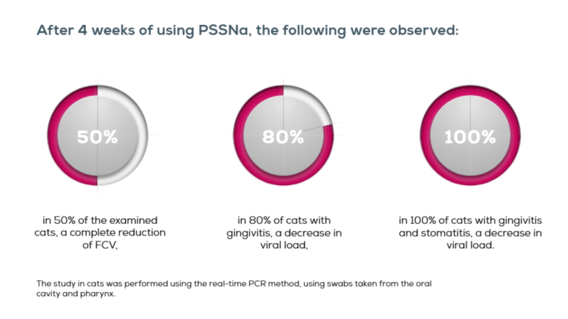 Zrzut ekranu 2026-01-08 164849